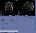 Thumbnail for version as of 17:09, 23 August 2023